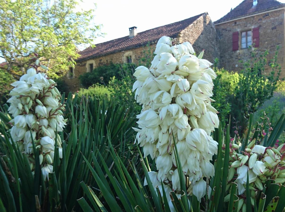 La Libellule And Le Papillon Gites At Les Leroux, Near Frayssinet-Le-Gelat Экстерьер фото