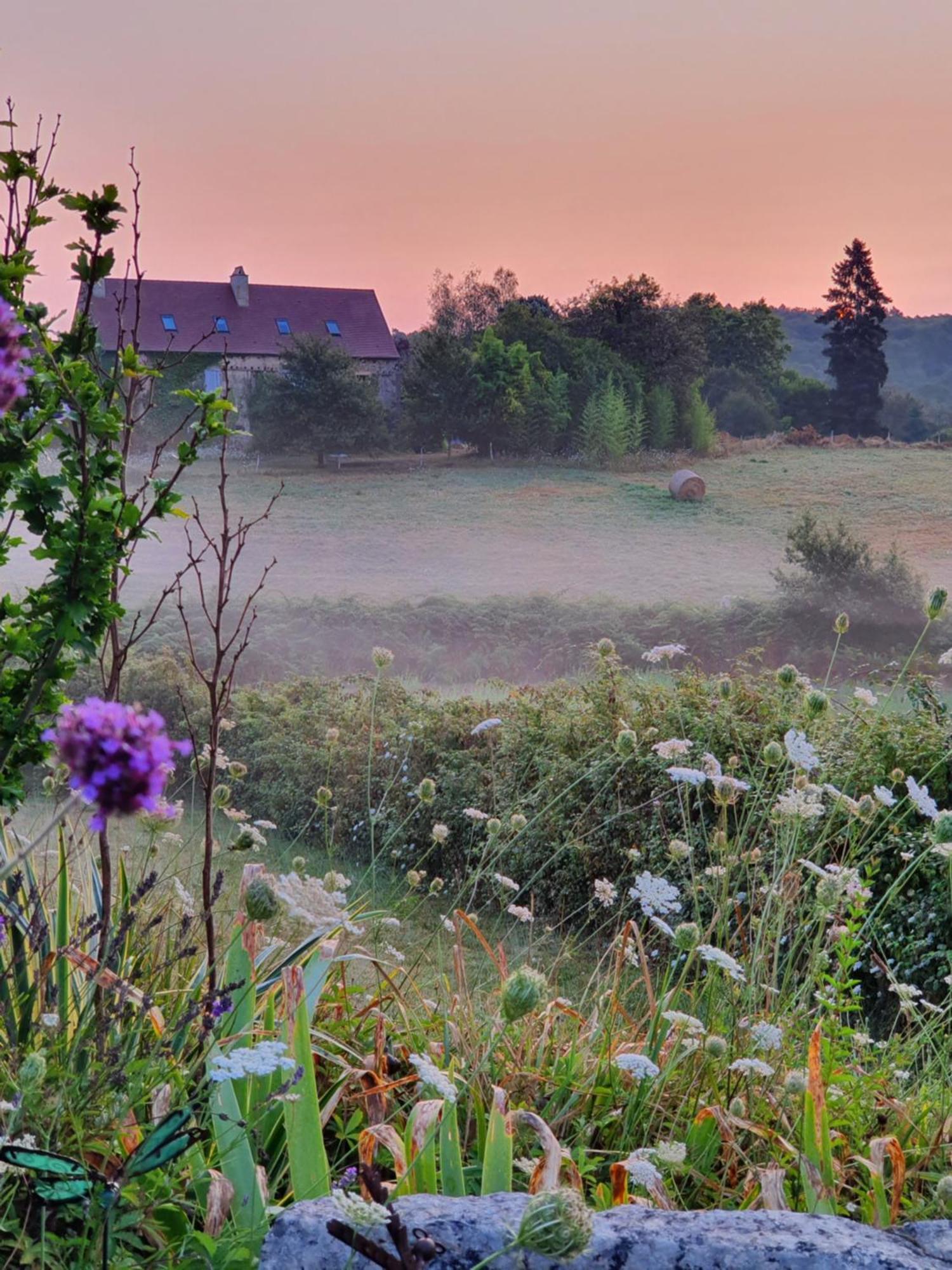 La Libellule And Le Papillon Gites At Les Leroux, Near Frayssinet-Le-Gelat Экстерьер фото